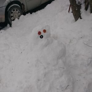 Meet your Posher, Dylan